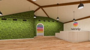 A room with green walls and wooden floors