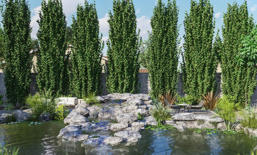 Serene backyard pond with waterfall and seating.