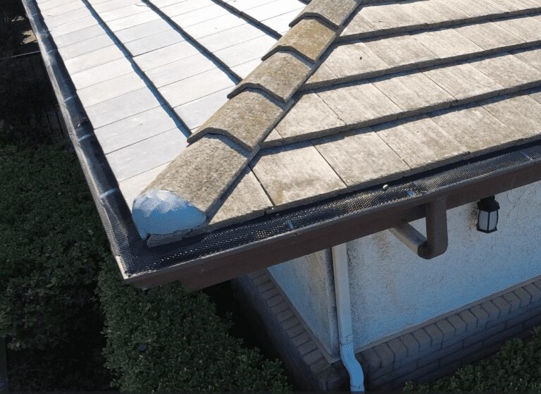 Roof corner with gutter and mesh guard.