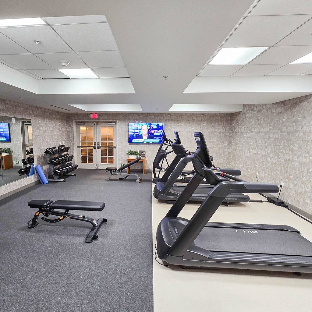 Empty gym with treadmills and weights.